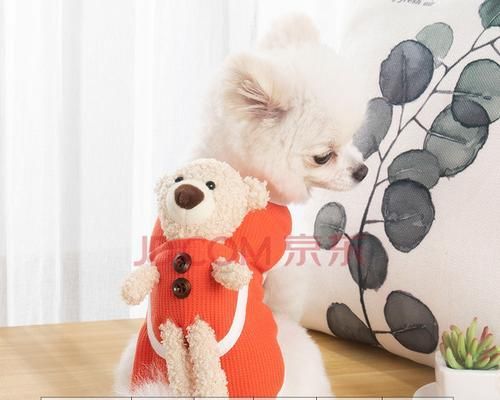 如何选择适合你的狗狗衣服（从尺寸、面料、品牌等多方面考虑，选出最合适的宠物衣服）