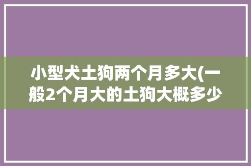 小型犬土狗两个月多大(一般2个月大的土狗大概多少斤)