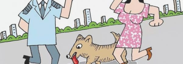 苏州高新区养犬管理办证服务点汇总