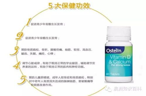 钙片或钙液，宠物适用性需咨询兽医。
