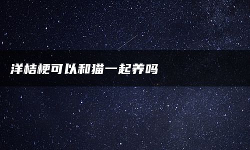 洋桔梗可以和猫一起养吗