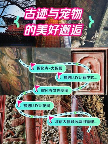 古迹里的字字珠玑
