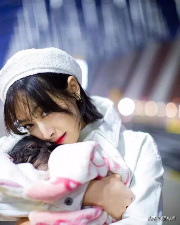 陷入“闺女”宋茜的宠物猪猪里中,我竟然种草了一只猪