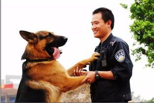 西宁训犬达人，宠物知识库