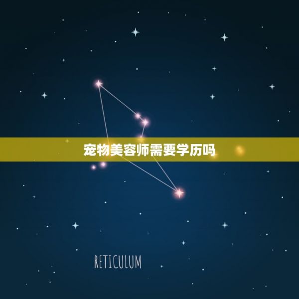宠物美容师需要学历吗(介绍宠物美容行业的学历门槛) 第3张