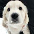 https://p0.meituan.net/userheadpicbackend/3e9c583fdb1b0a0b95585ebf415c84653925.jpg%40120w_120h_1e_1c_1l%7Cwatermark%3D0