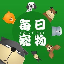 “宠物行为专家，养宠必备指南！”