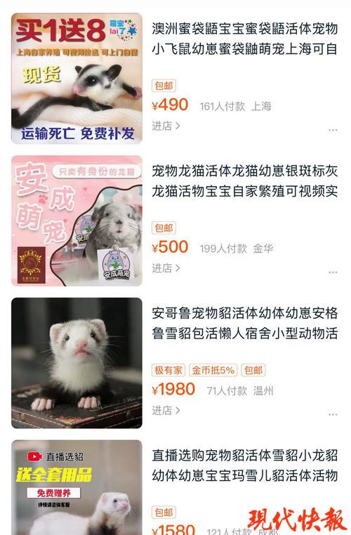 快递称活体宠物网点敢收就能寄_透气运输笼发货、有合作就能邮寄……活体宠物被装进了快递里