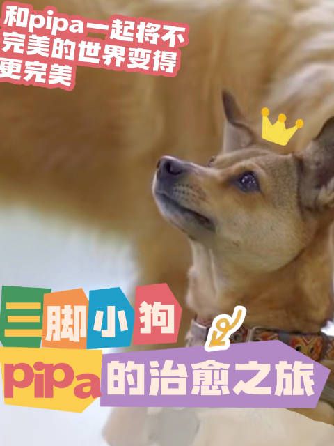 所谓完整，是允许残缺照亮残缺