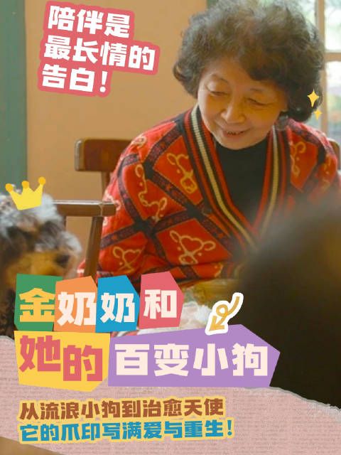 金奶奶和她的百变治疗犬biubiu的故事