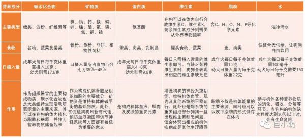 犬猫的特殊营养需求（犬猫营养需求）
