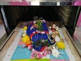 北京市丰台区宠物火化哪家好 电话咨询了解详情