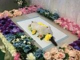 北京宠物殡葬服务-宠物无害化处理接收点