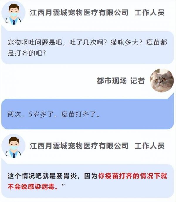 揭线上宠物医疗无证行医乱象 宠物医疗背后的黑幕
