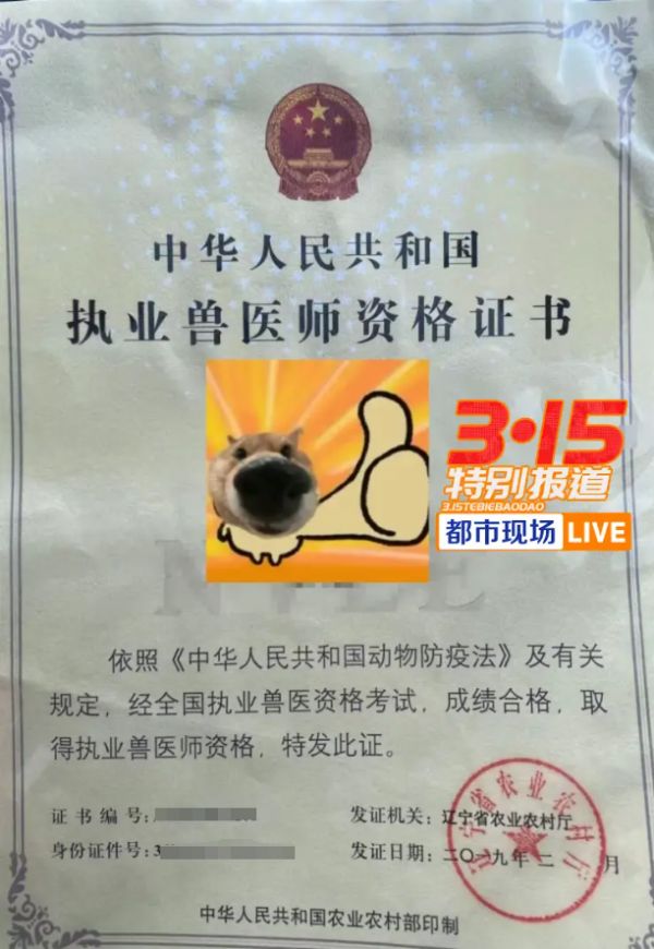 揭线上宠物医疗无证行医乱象 宠物医疗背后的黑幕