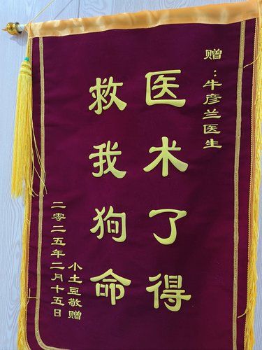 患者做手术时情绪非常激动……