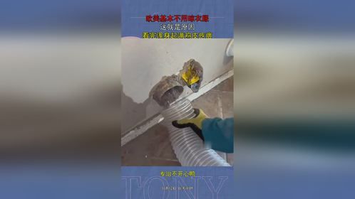 欧美基本不用晾衣服，这就是原因，看完浑身起满鸡皮疙瘩