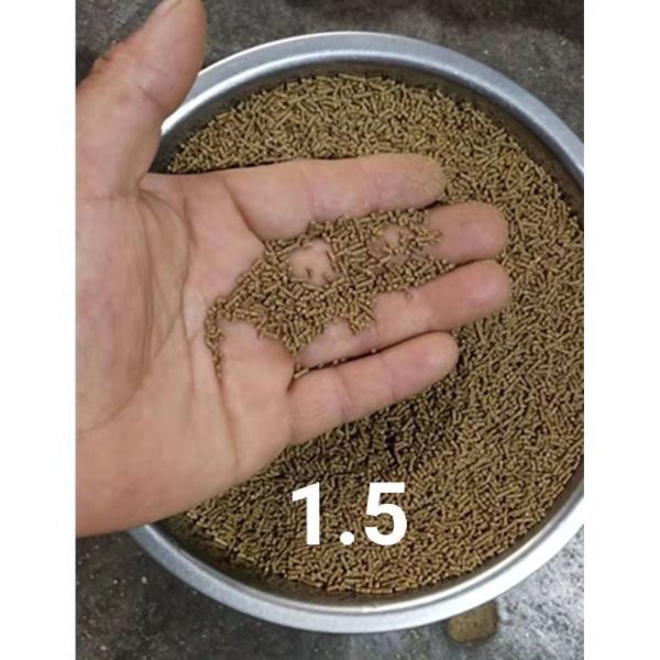 银古鱼苗饲料保存方法（冷冻鱼食保存要点，鱼饵料密封保存法，夏季鱼饲料防变质）