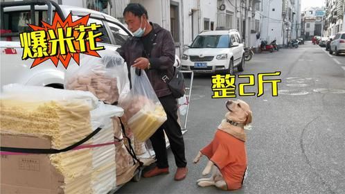 买菜狗私自买回零食，悲剧主人只能爆米花下饭