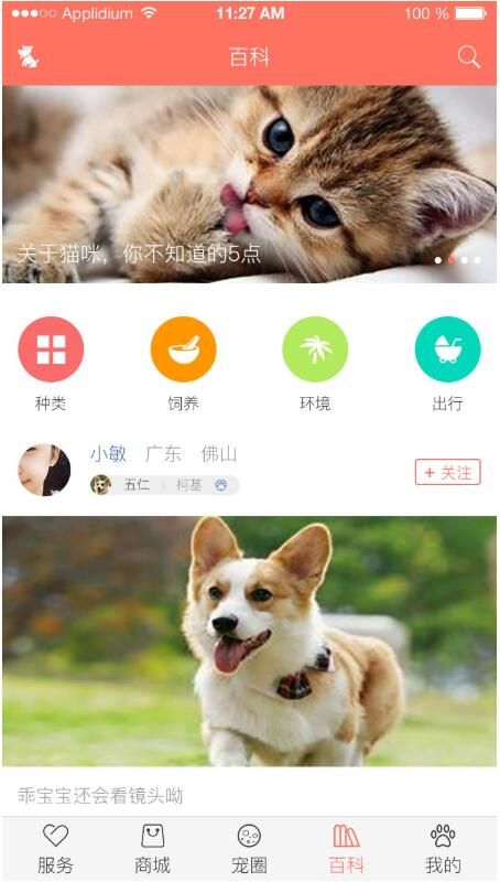 “猫咪APP破解版,宠物生活必备!”