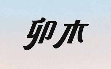养什么龟最有灵性镇宅 乌龟镇宅放什么位置