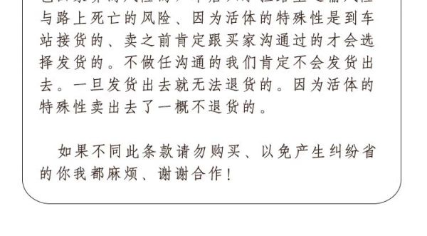 纯种巴马香猪活体幼崽 大型家养成年种猪 迷你宠物猪多少钱 
