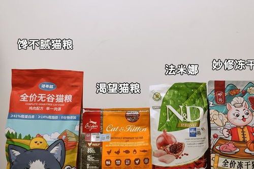 肠胃不适猫选易消化猫粮,品牌猫粮更安心。