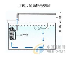 新手养鱼必备,鱼缸过滤器选购指南!