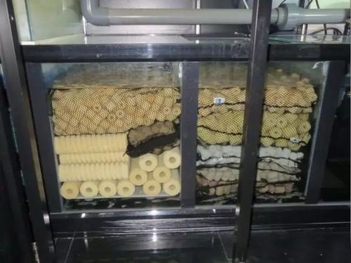 新手养鱼必备,鱼缸过滤器选购指南!