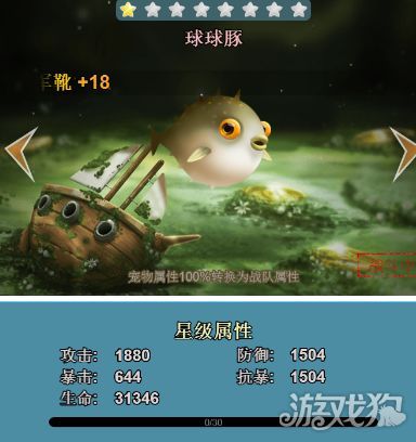 解锁宠物界的六种鱼:如何选购最适合你的水族箱?