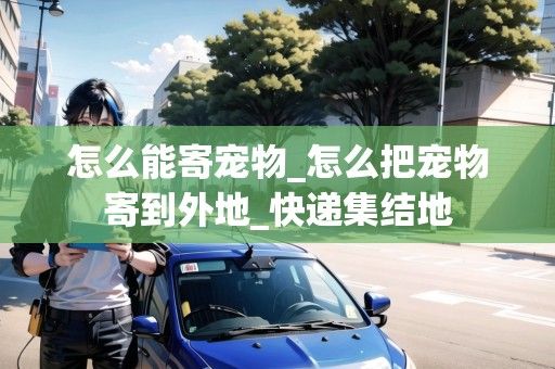 怎么能寄宠物_怎么把宠物寄到外地_快递集结地