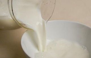 长期狗粮需补充，健康饮食更关键。