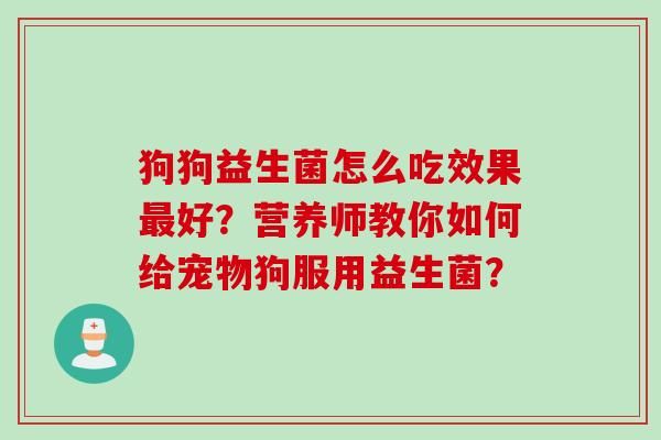 狗狗益生菌怎么吃效果好？营养师教你如何给宠物狗服用益生菌？