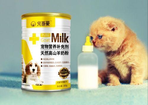 宠物必备：营养鸟食攻略