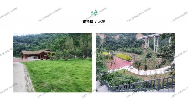 贝塔萌宠乐园图