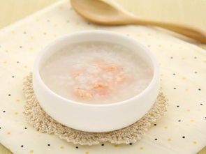 幼犬辅食添加指南，阶段辅食选择。