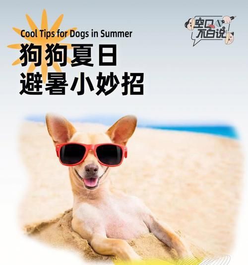 让宠物狗狗清凉一夏（消暑降温小技巧，让狗狗度过美好夏日）