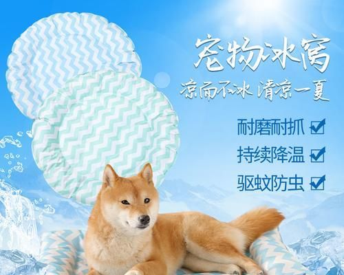让宠物狗狗清凉一夏（消暑降温小技巧，让狗狗度过美好夏日）
