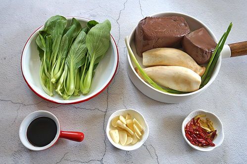 宠物上火食欲差?试试清凉食谱!