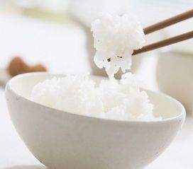 “大米狗粮做法,创意食谱分享”