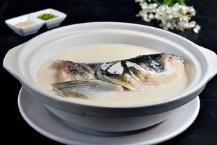 宠物食物中，银鱼头是否需剔除？