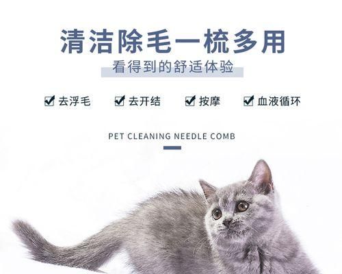 常见宠物病症——猫咪干咳腹泻脱毛（了解猫咪常见病症及预防方法）