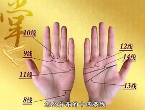 10种常见疾病中医手诊法，收藏学习！