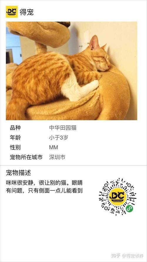 宠物领养平台免费有哪些呢知乎（宠物领养网免费领养宠物的网站宠物领养中心）