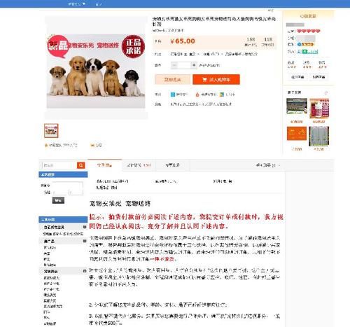 宠物回收平台有哪些好的简单介绍