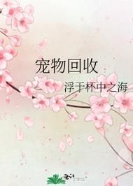 宠物回收平台有哪些好的简单介绍