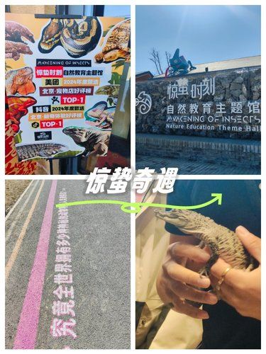 惊蛰奇遇！探秘然教育主题馆
