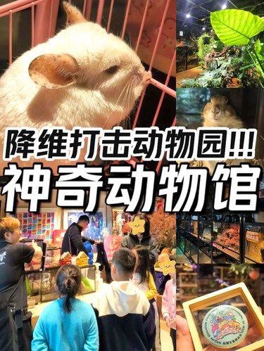 多亏这里，孩子秒变同龄人羡慕的动物专家