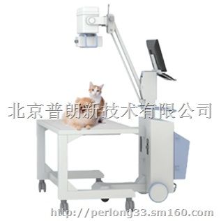 宠物拍片dr价格多少钱实惠