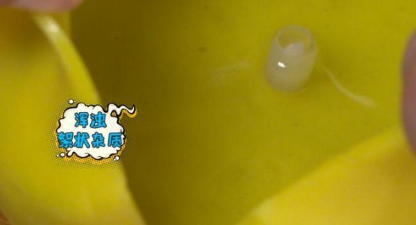 妈妈们注意了：宝宝洗澡时经常玩的小黄鸭，里面超级脏！